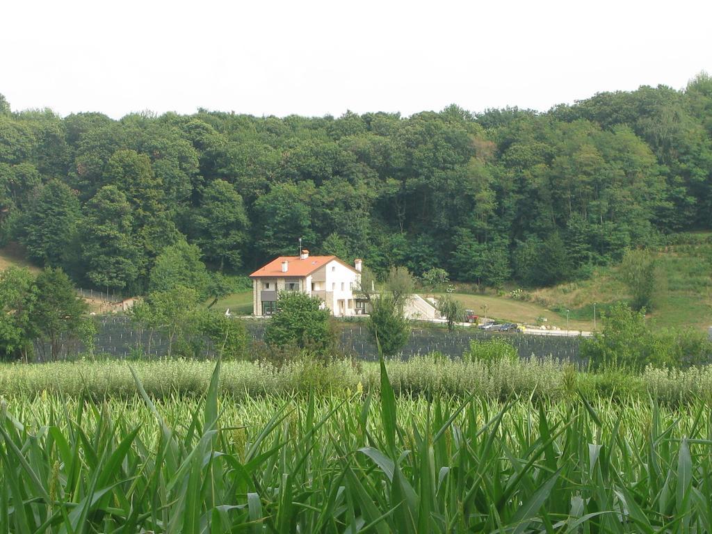 Agriturismo Casamela Paderno del Grappa Zewnętrze zdjęcie