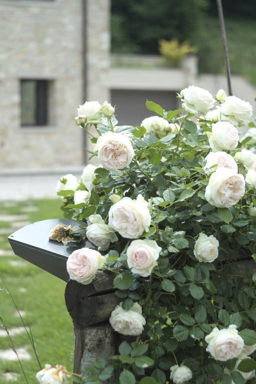 Agriturismo Casamela Paderno del Grappa Zewnętrze zdjęcie